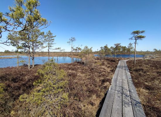 estonia/soomaa-national-park/attraction/ingatsi-opperada