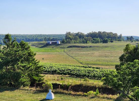 uruguay/central-region/attraction/bodega-cerro-chapeu