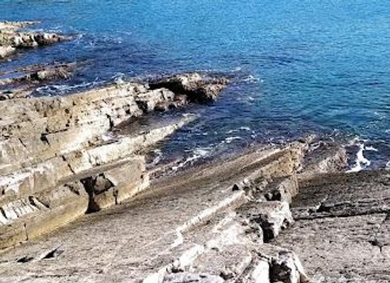 croatia/pula/attraction/dinosaur-footprints