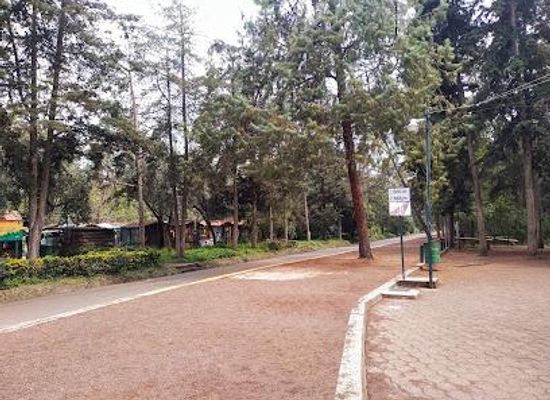 mexico/mexico-city/attraction/parque-nacional-bosque-de-tlalpan