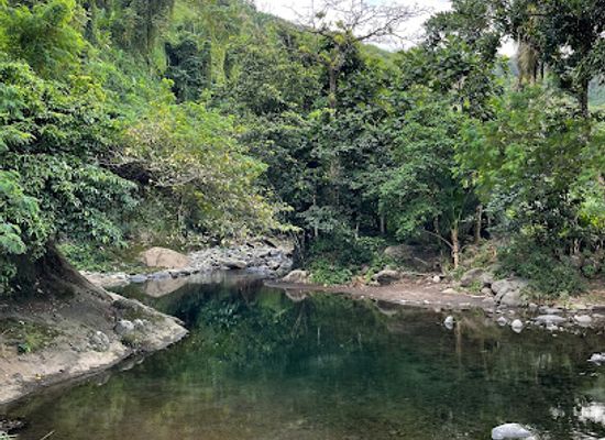 saint-vincent-and-the-grenadines/saint-david/attraction/river-14-south-rivers
