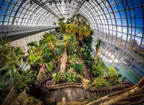 oklahoma/oklahoma-city/attraction/myriad-botanical-gardens