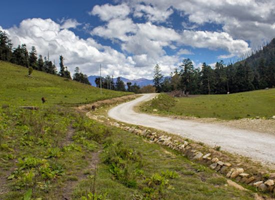 nepal/rara-lake/attraction/siftichaur-pasture-jumla