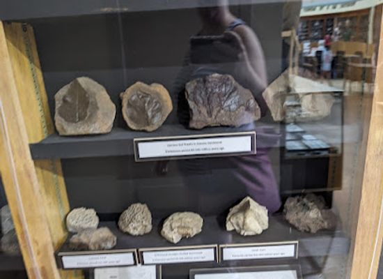 kansas/flint-hills/attraction/derby-historical-museum