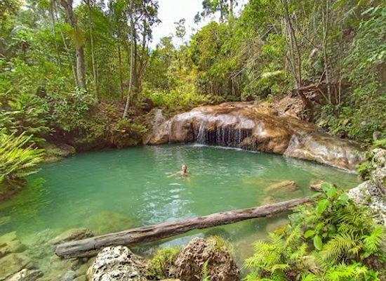 philippines/siquijor/attraction/kawasan-falls-cave