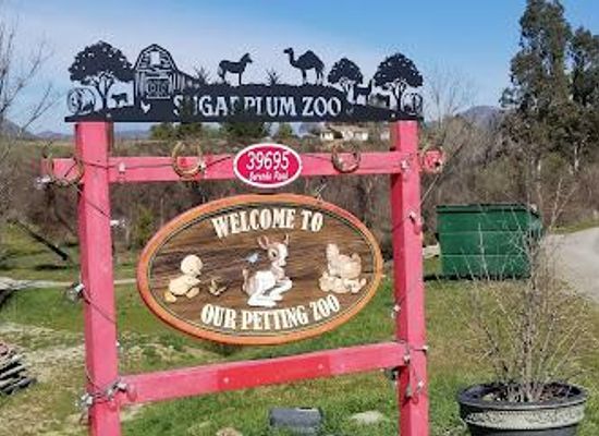 california/south-coast/attraction/sugarplum-zoo