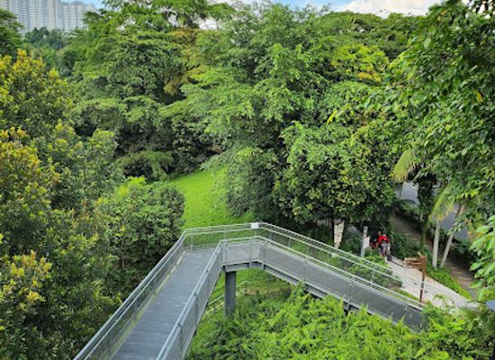 singapore/southern-ridges/attraction/earth-trail