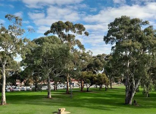 australia/adelaide/attraction/bonython-park