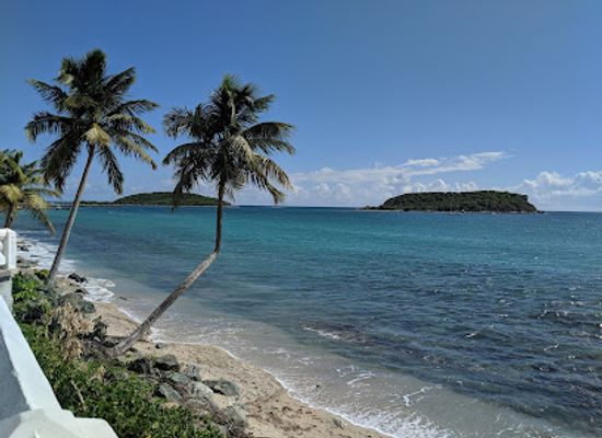 puerto-rico/vieques-island/attraction/abe-s-snorkeling-biobay-tours