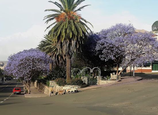 eritrea/asmara/attraction/makalayis-park