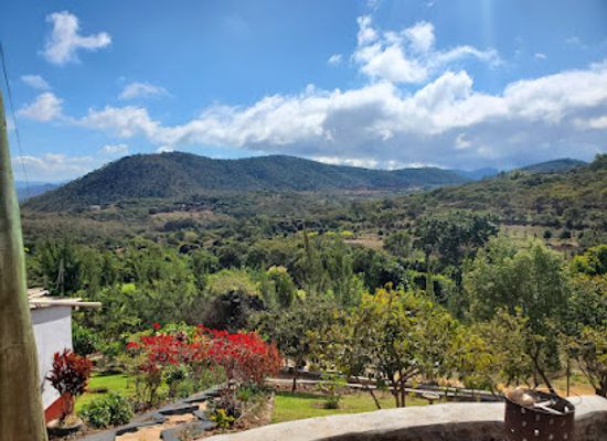 zimbabwe/eastern-highlands/attraction/christmas-pass