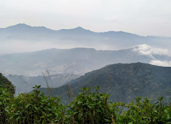 nepal/helambu-trek/attraction/nagarjun-forest-reserve