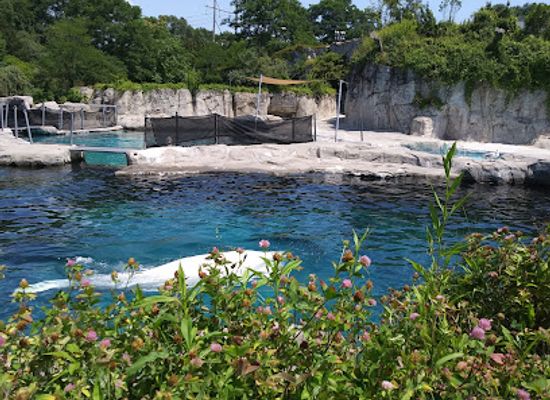 rhode-island/washington-county/attraction/mystic-aquarium