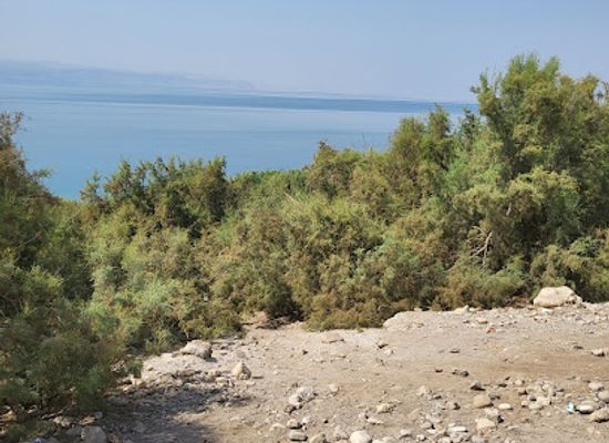 jordan/dead-sea/attraction/079