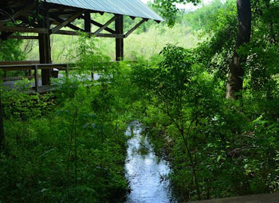 florida/gainesville/attraction/bivens-arm-nature-park
