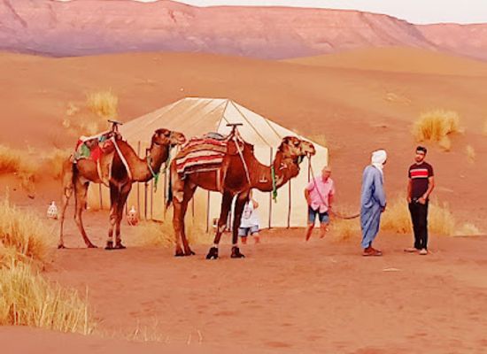 morocco/agadir/attraction/passage-to-paradise-tours-excursions-agadir