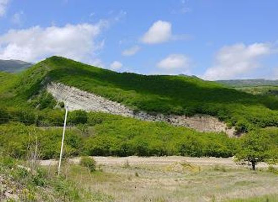 azerbaijan/shamakhi/attraction/altiaghaj-national-park