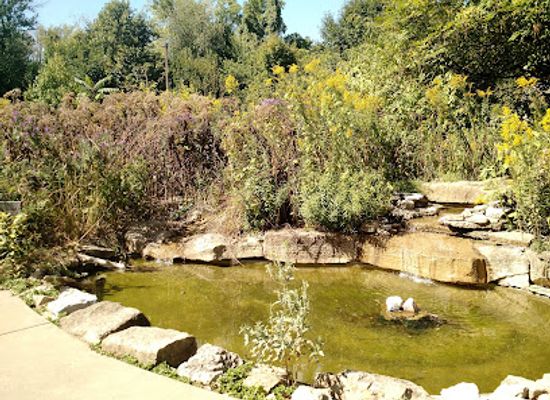 kentucky/bluegrass-region/attraction/louisville-nature-center