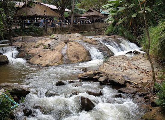 thailand/doi-suthep-pui-national-park/attraction/mae-sa-elephant-camp