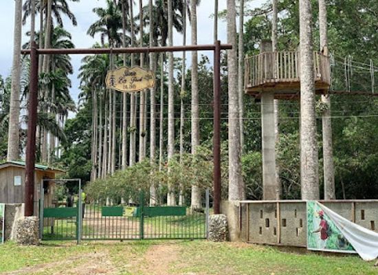 togo/central-region/attraction/bunso-eco-park-bunso-arboretum
