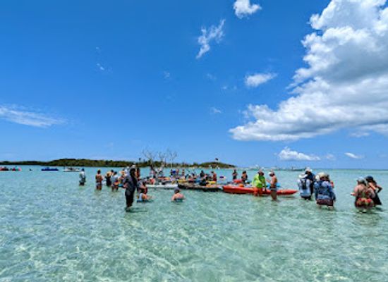 florida/treasure-coast/attraction/shell-key-preserve