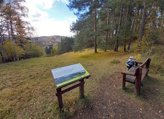 czechia/sumava/attraction/sudslavicka-lipa