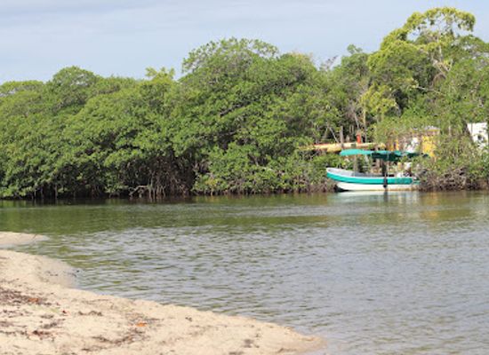 belize/stann-creek-district/attraction/palmento-grove-garifuna-eco-cultural-and-healing-institute