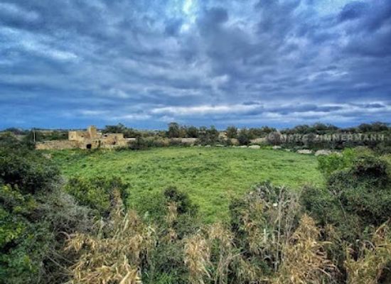 malta/tas-silg-area/attraction/ic-cirku
