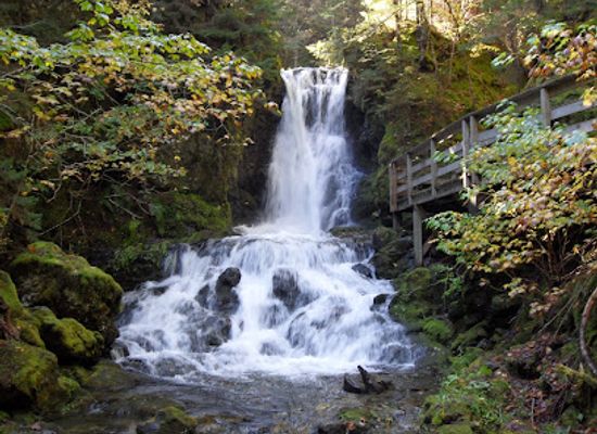 canada/fundy-national-park/attraction/dickson-falls