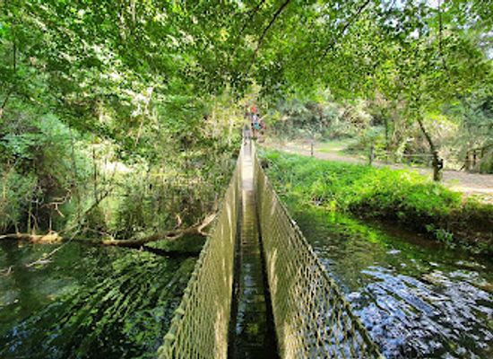 spain/montseny-natural-park/attraction/la-selva-de-l-aventura