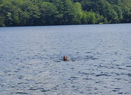 new-hampshire/monadnock-region/attraction/shattuck-public-beach