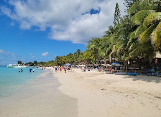 honduras/bay-islands/attraction/bodden-tours-mayan-jungle-canopy-zipline-victor-s-monkey-sloth-sanctuary