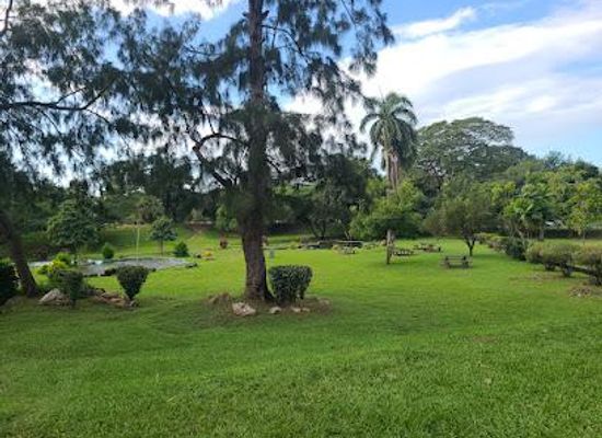 trinidad-and-tobago/tunapuna/attraction/queen-s-park-savannah