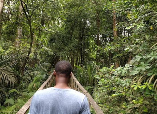 nigeria/south-west/attraction/lekki-conservation-centre