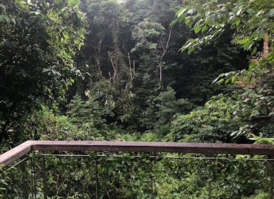 singapore/bukit-batok/attraction/wallace-trail