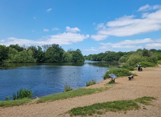 united-kingdom/middlesex/attraction/epping-forest