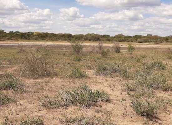 tanzania/masai-steppe/attraction/mkungunero-game-reserve