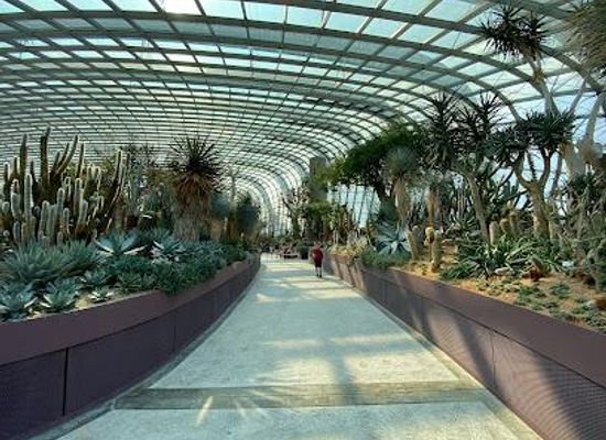 singapore/chinatown/attraction/flower-dome