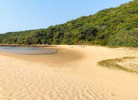mozambique/inhaca-island/attraction/inhaca-island-snorkel-reserve