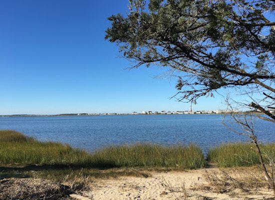 delaware/the-coastal-plain/attraction/delaware-seashore-state-park