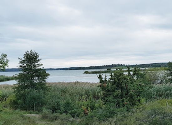 sweden/uppland/attraction/broangarnas-nature-reserve