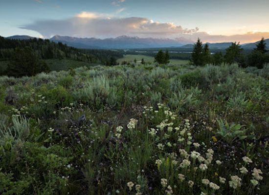 wyoming/jackson-hole/attraction/jackson-hole-land-trust