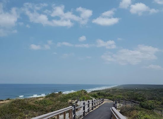 massachusetts/cape-cod/attraction/mass-audubon-wellfleet-bay-wildlife-sanctuary