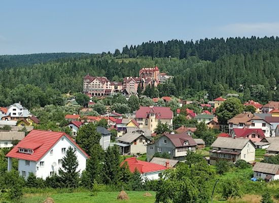 ukraine/skole-beskids/attraction/landshaftnyy-park-panteleymona-tsilytelya