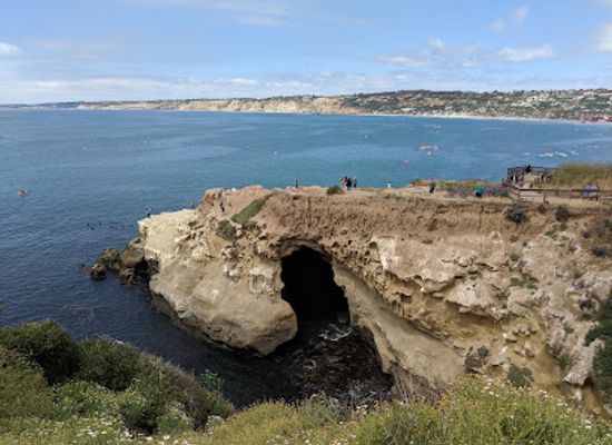 california/la-jolla/attraction/lifeguard-la-jolla-cove