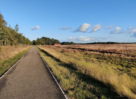 netherlands/gelderland/attraction/ginkel-heath