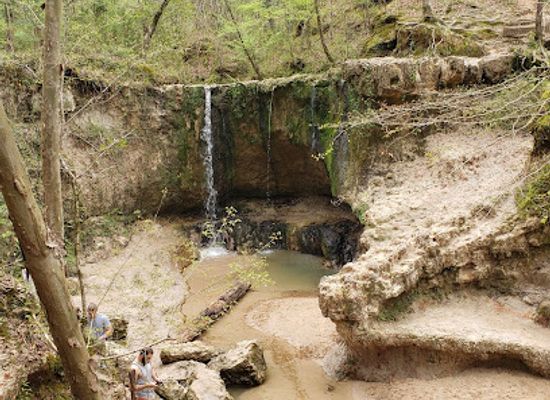 mississippi/the-flatwoods/attraction/clark-creek-natural-area