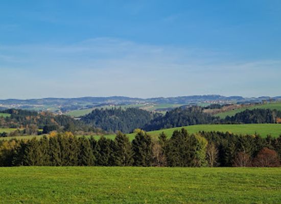 austria/muhlviertel/attraction/tierpark-altenfelden