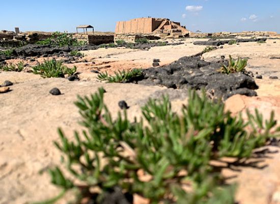 iraq/southern-iraq/attraction/ur