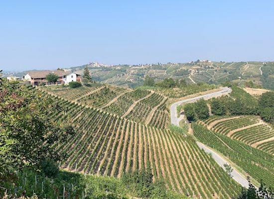 italy/langhe/attraction/altalena-gigante